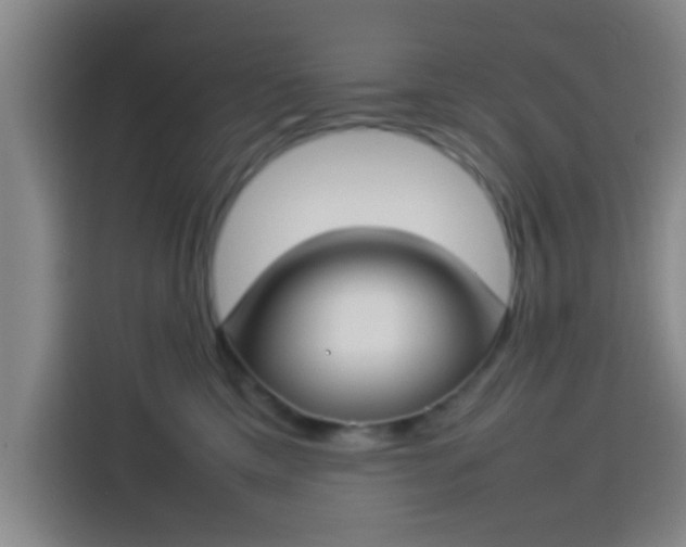 X0000113930425200910021246