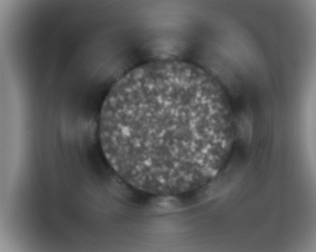 X0000113930427200910021246