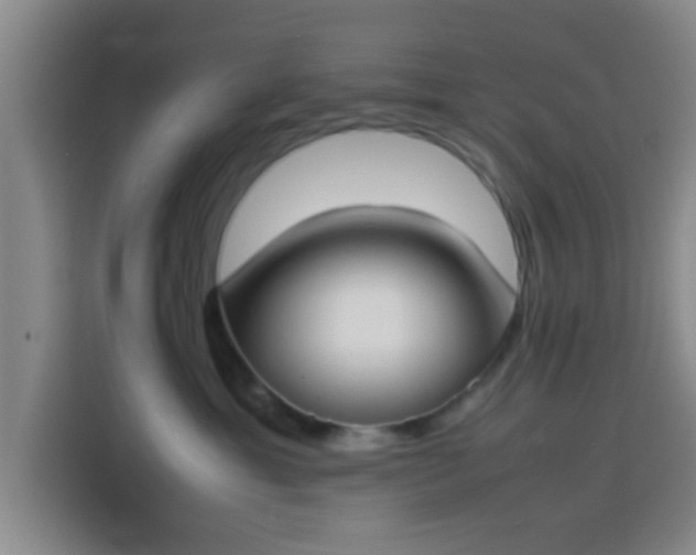 X0000113930429200910021246