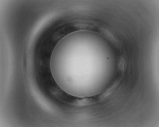 X0000113930430200910021246