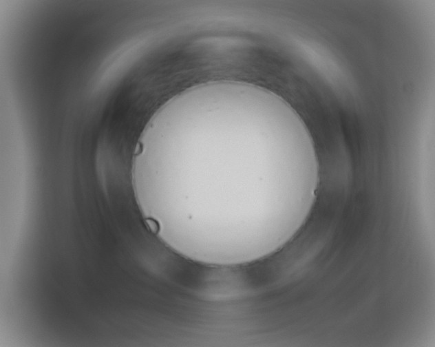 X0000113930431200910021246