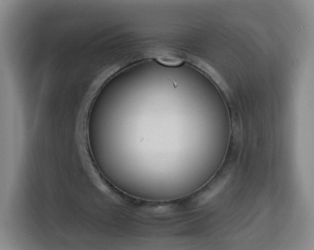 X0000113930433200910021245