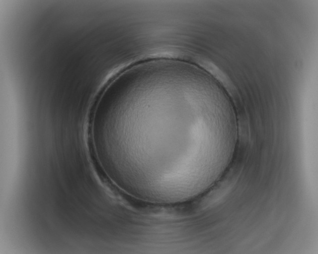 X0000113930434200910021245