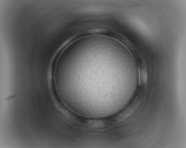 X0000113930435200910021245