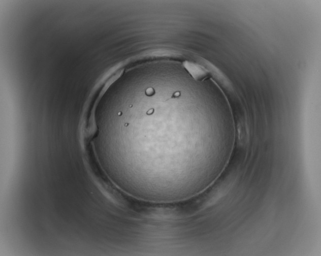 X0000113930436200910021245