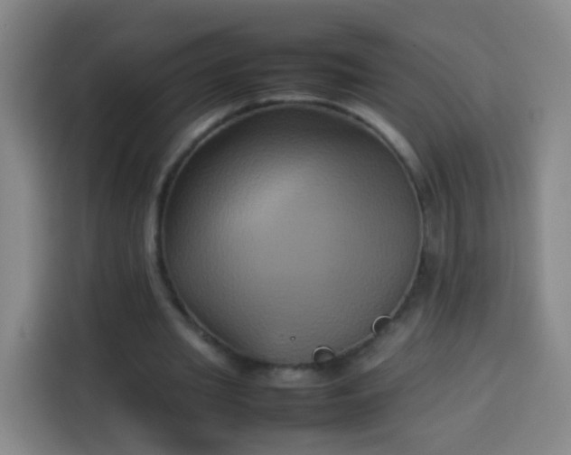 X0000113930437200910021245