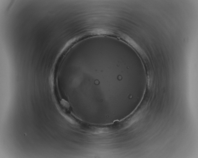 X0000113930438200910021245