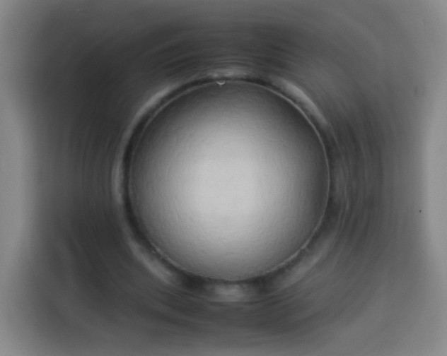 X0000113930439200910021245