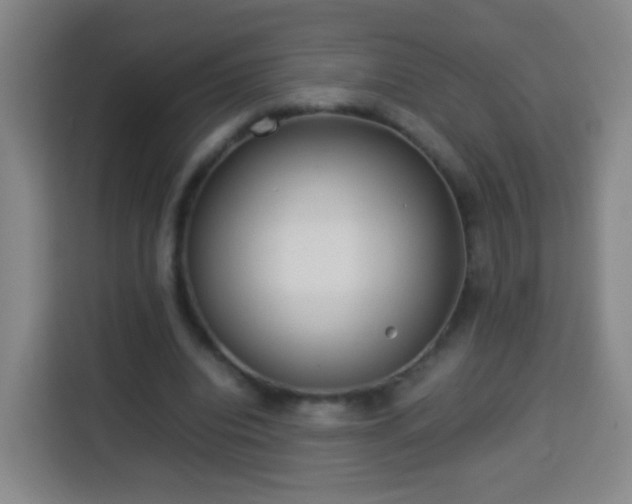 X0000113930440200910021245