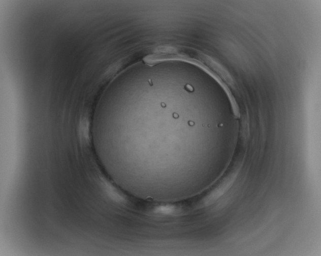 X0000113930441200910021245