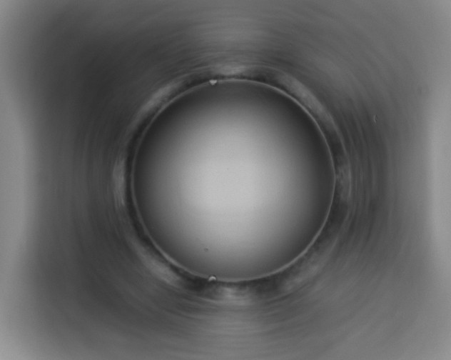 X0000113930442200910021245