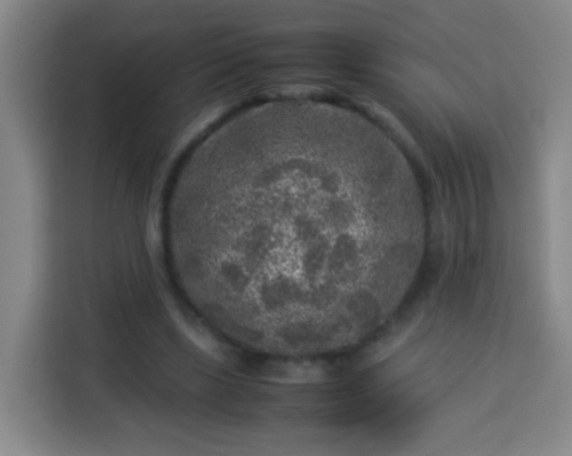 X0000113930443200910021245