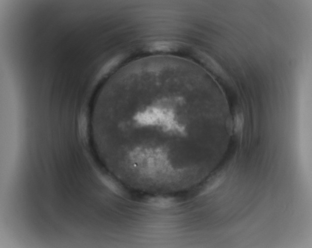 X0000113930444200910021245