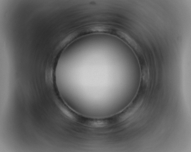 X0000113930445200910021245