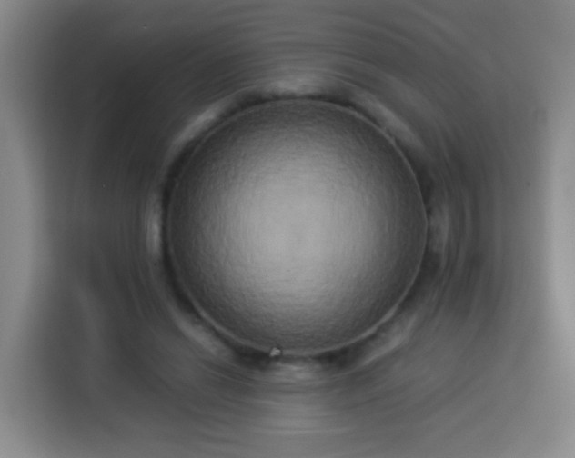 X0000113930446200910021245