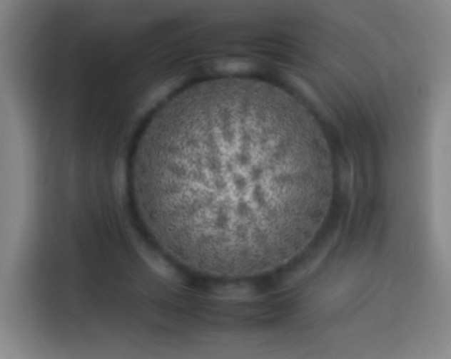 X0000113930447200910021245