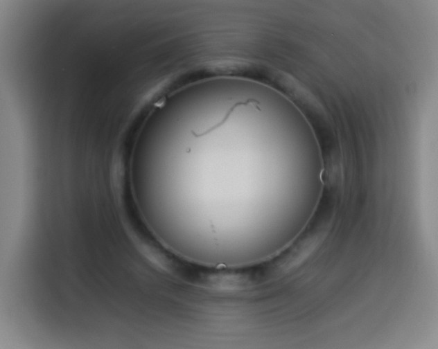 X0000113930448200910021245