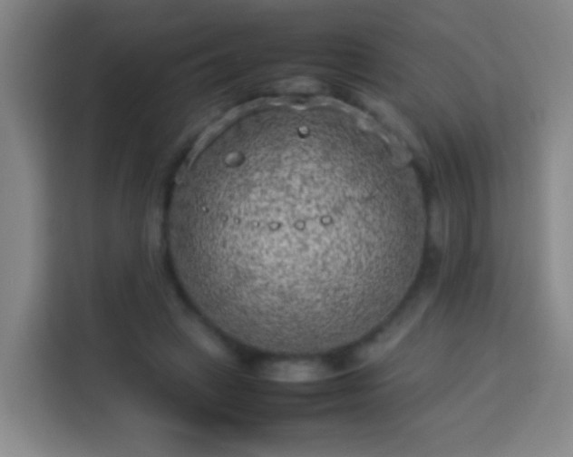 X0000113930449200910021245