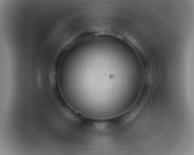 X0000113930450200910021245