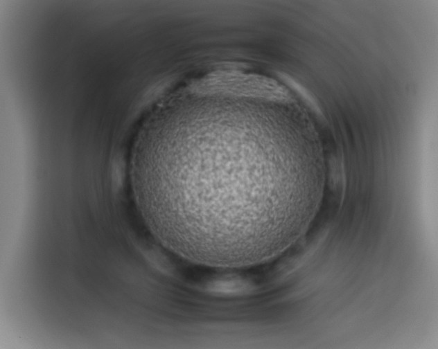 X0000113930451200910021245