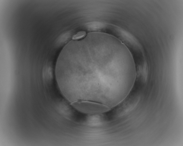 X0000113930452200910021245