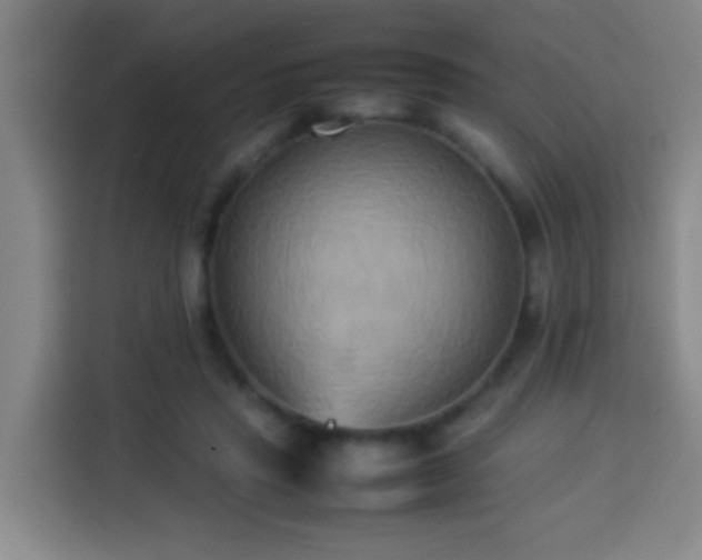 X0000113930453200910021245