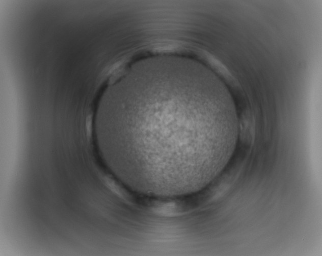 X0000113930454200910021246