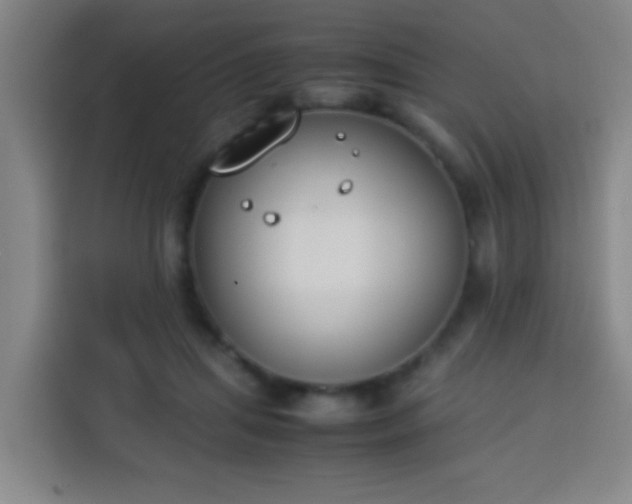 X0000113930455200910021246