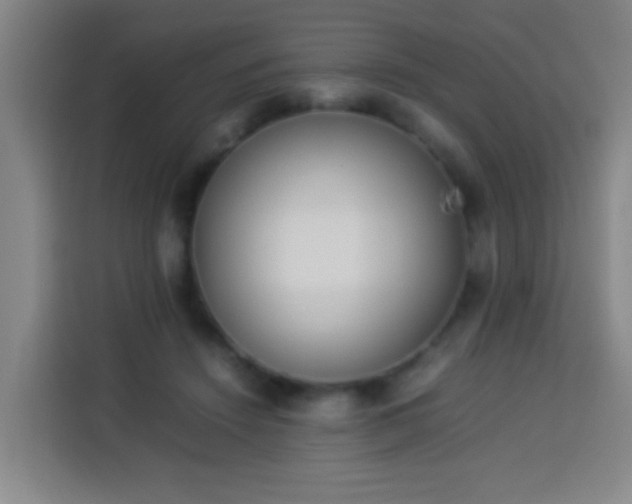 X0000113930456200910021246