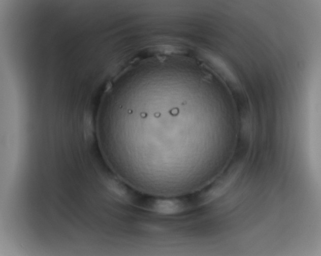 X0000113930457200910021246