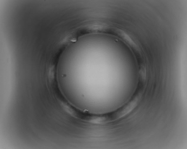 X0000113930458200910021246