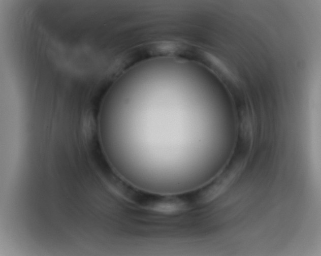 X0000113930459200910021246