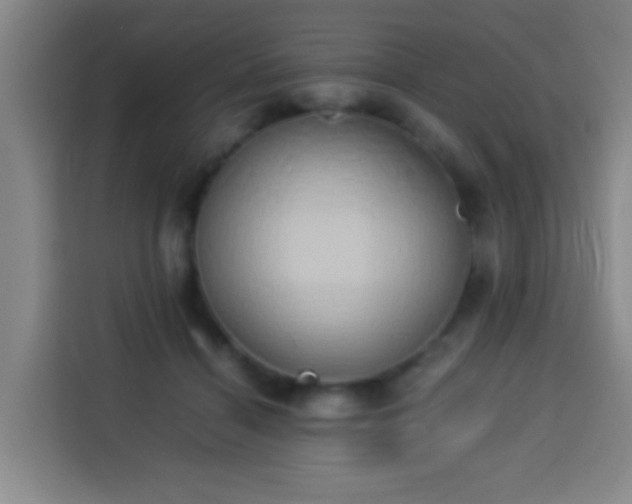 X0000113930460200910021246