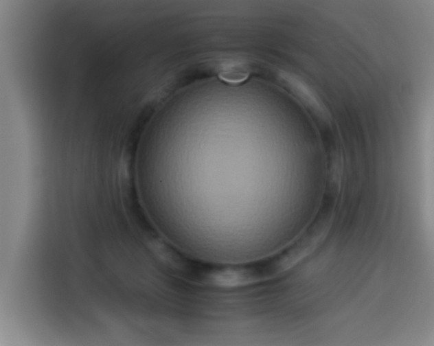 X0000113930461200910021246