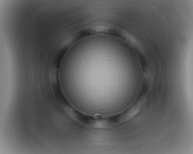 X0000113930462200910021246