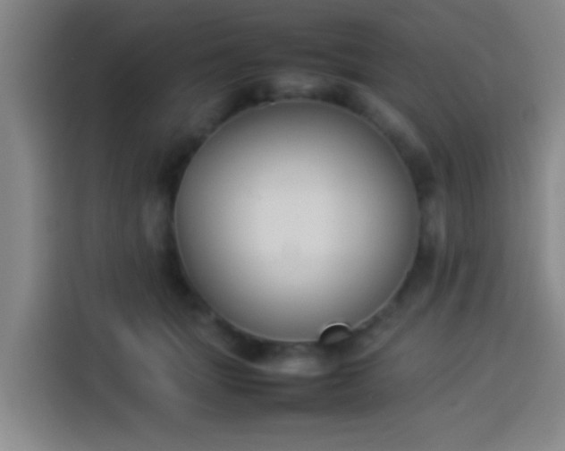 X0000113930463200910021246