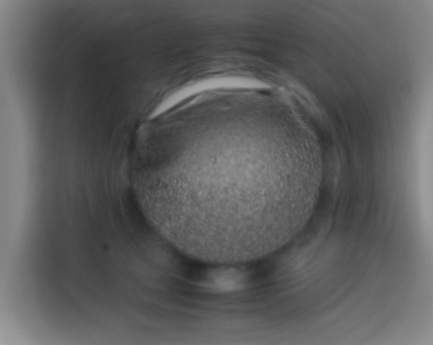 X0000113930465200910021246