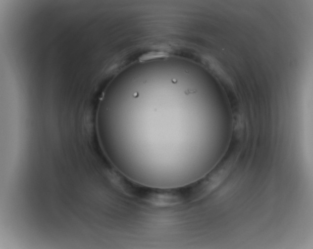 X0000113930466200910021246