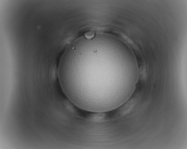 X0000113930474200910021246