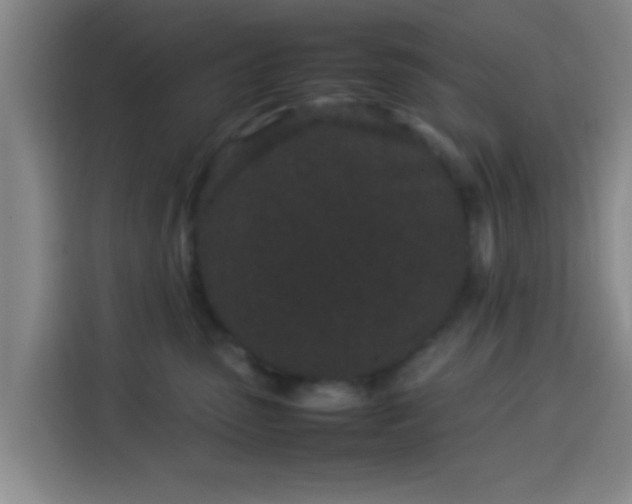 X0000113930475200910021246