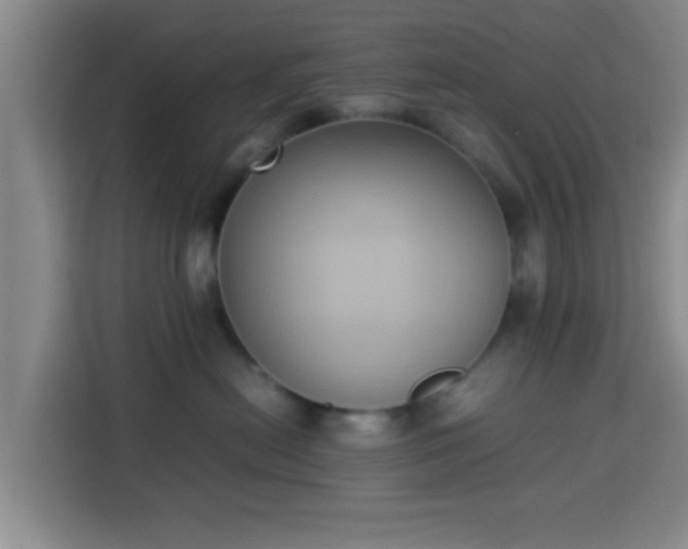 X0000113930478200910021246