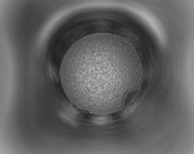 X0000113930479200910021246