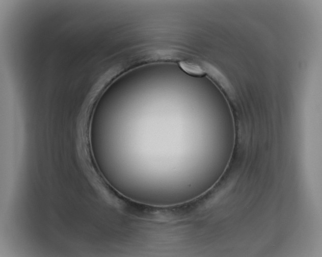 X0000113930481200910021245