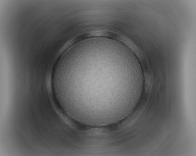 X0000113930482200910021245