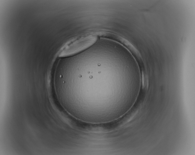 X0000113930483200910021245