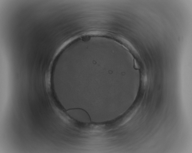 X0000113930484200910021245