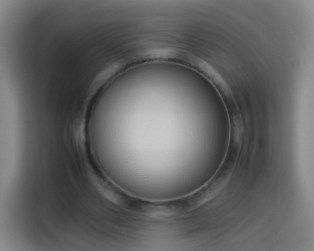 X0000113930486200910021245