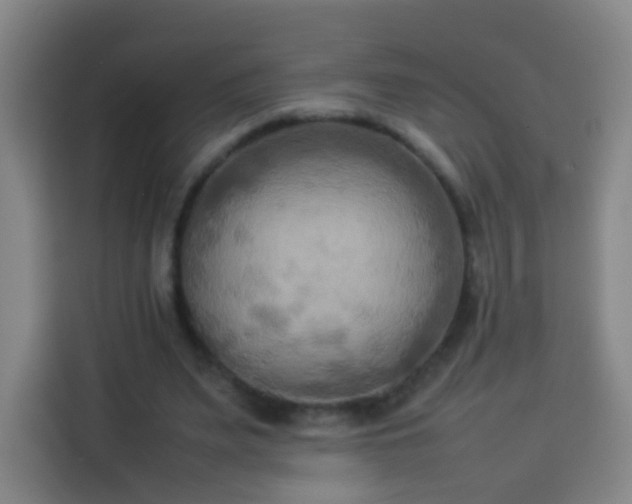 X0000113930487200910021245