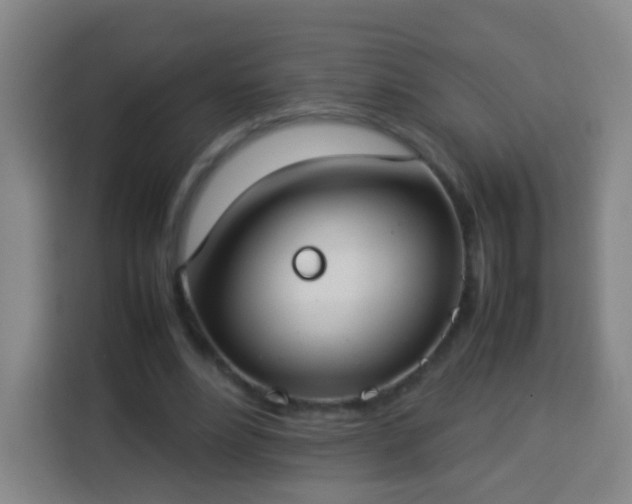 X0000113930488200910021245