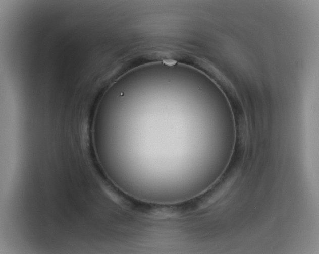 X0000113930489200910021245